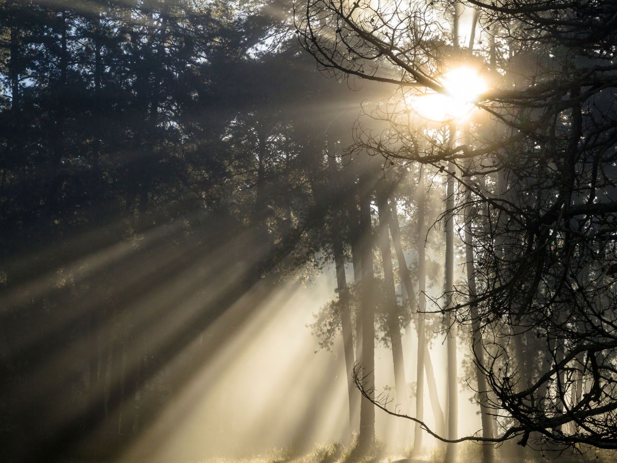 Na sombra da dor, a busca pela&nbsp;luz
